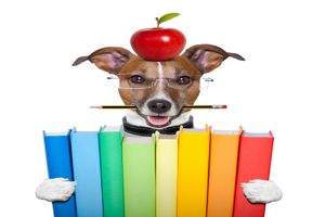 避孕套用前要检查吗