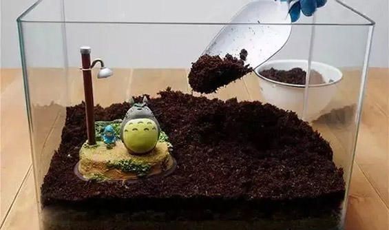 苔藓微景观制作流程