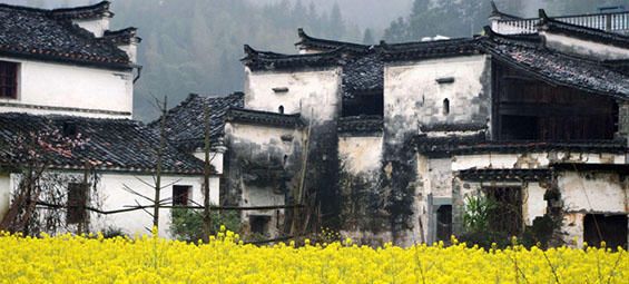 婺源风景欣赏