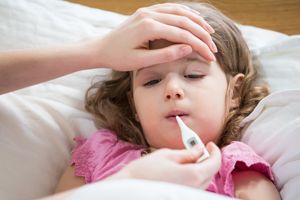 幼儿4-6敏感期都有哪些