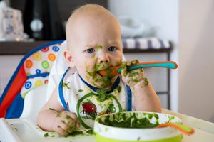 如何教育幼儿不挑食