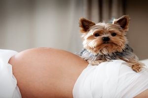 孕期吃什么乳房会变大又有奶水吃